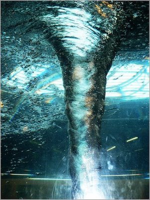 Vortex
