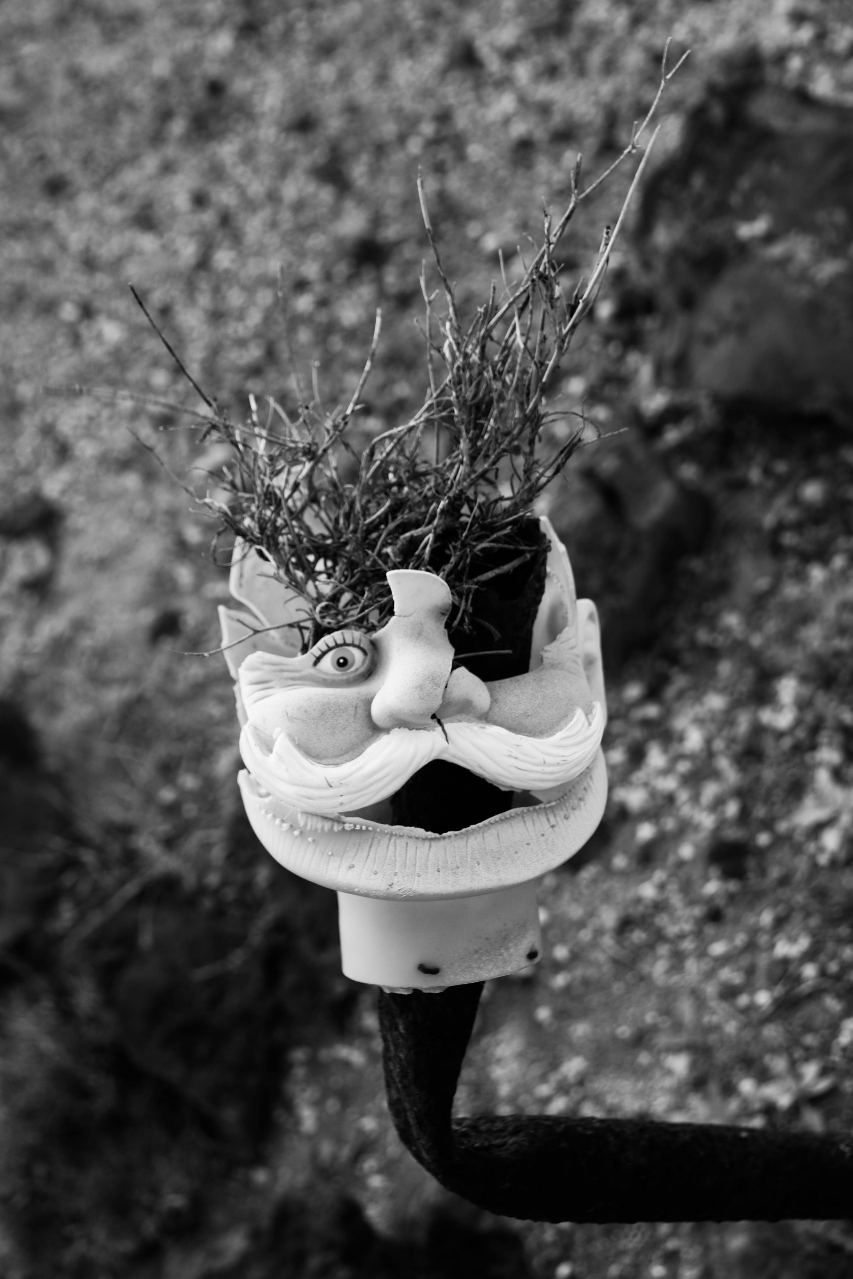 Found something strange in Williams, AZ… locals won’t talk about it. post thumbnail image