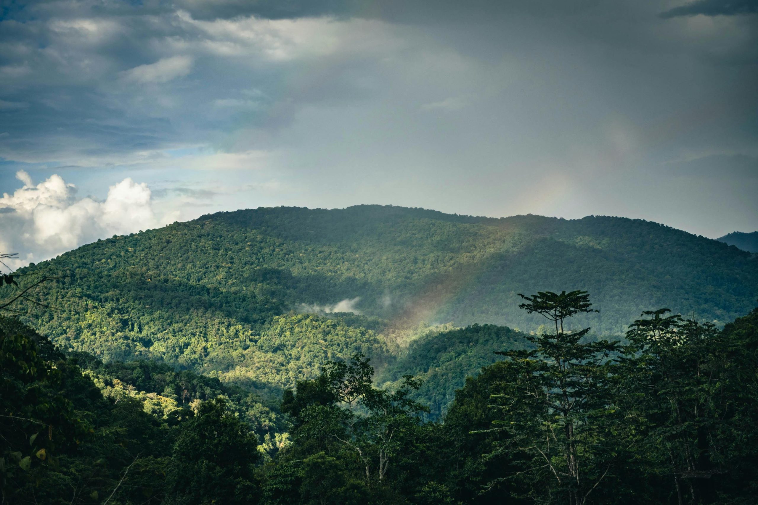 /r/fatpeoplehate has been banned post thumbnail image