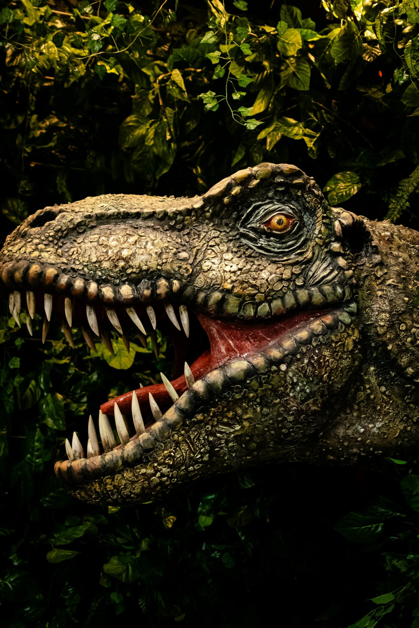 Octopuses lived before dinosaurs and we’re supposed to believe they just evolved here like everything else? post thumbnail image