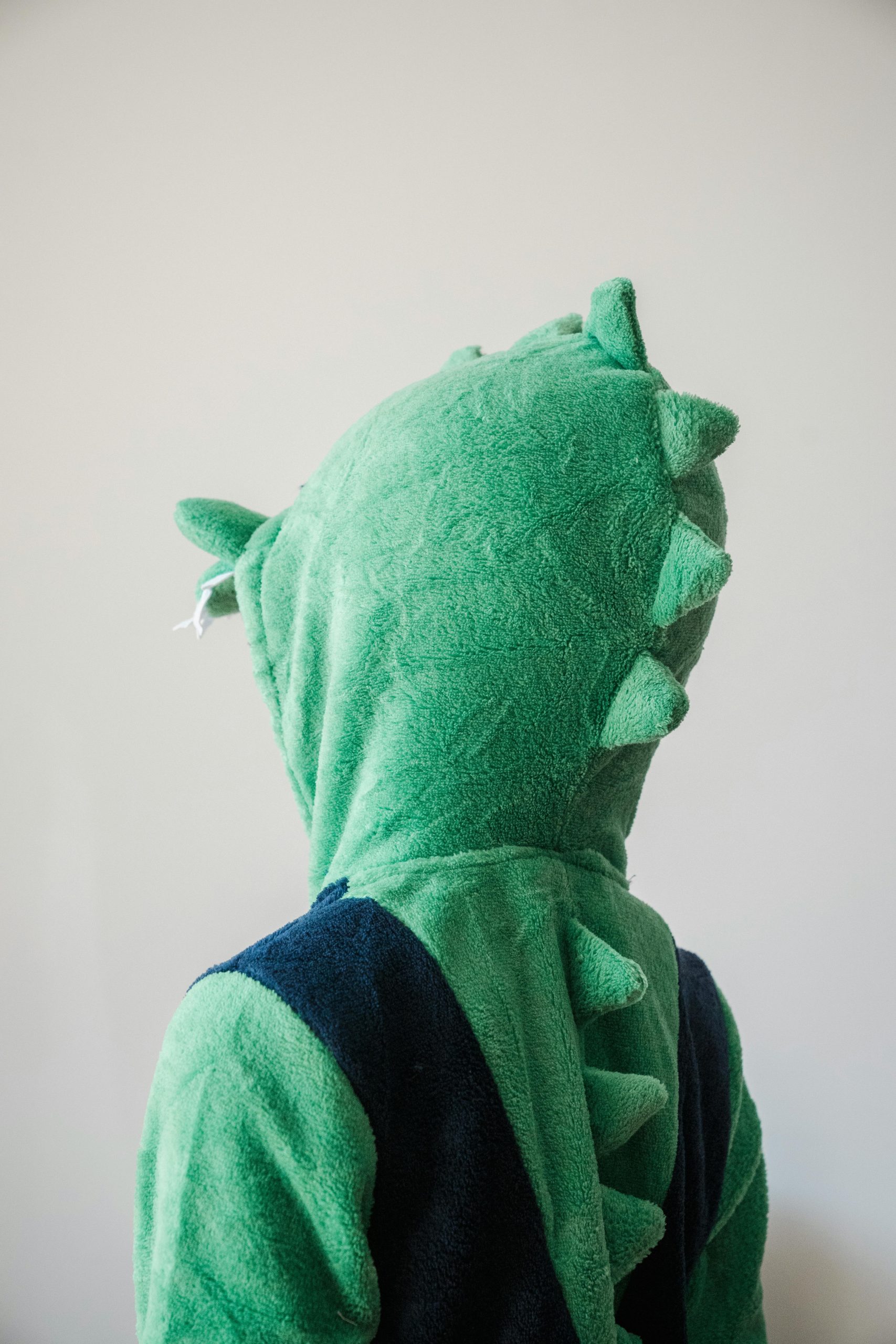 Octopuses lived before dinosaurs and we’re supposed to believe they just evolved here like everything else? post thumbnail image