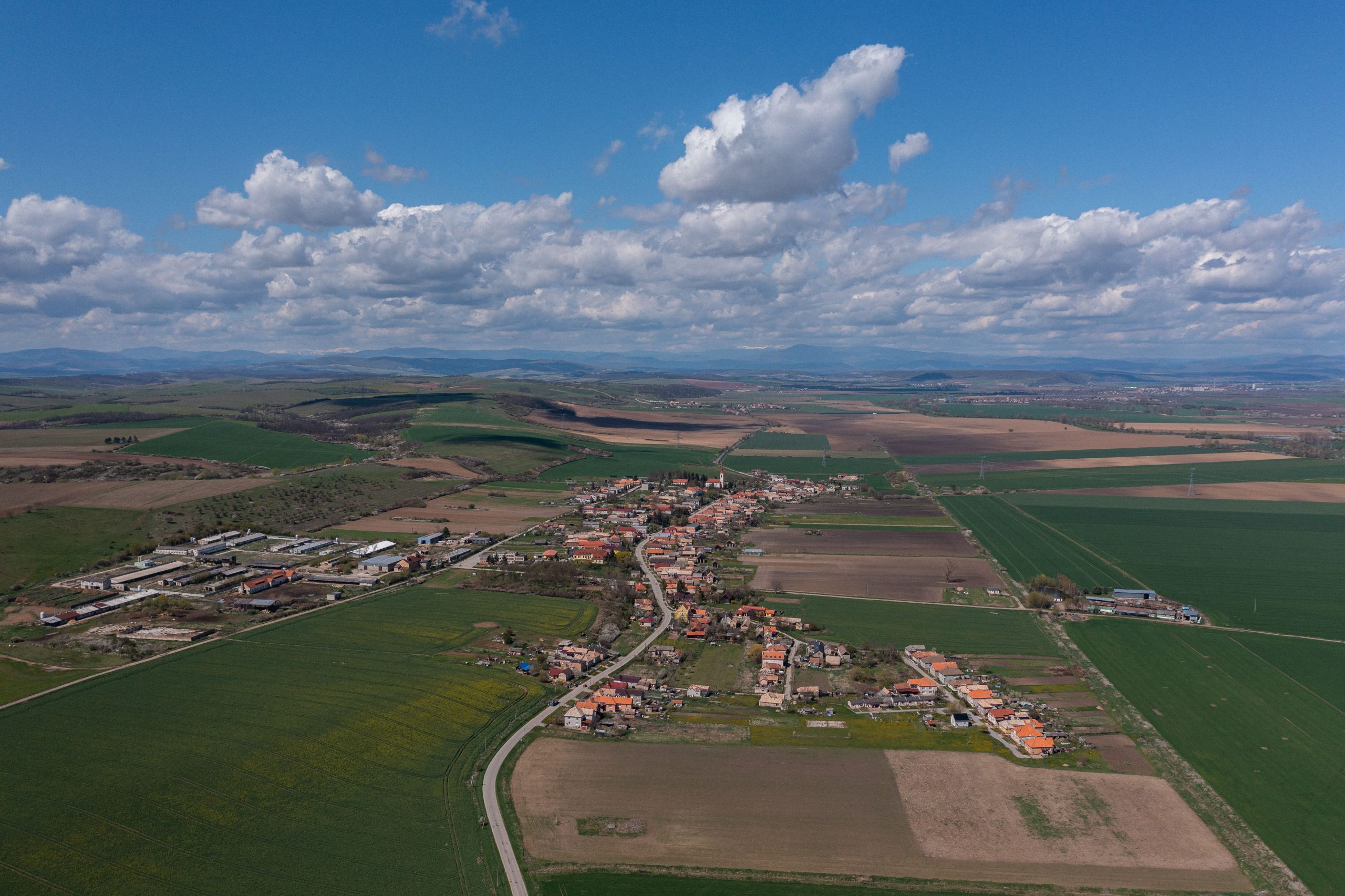 How Native Jewish Communities Built the Region’s Early Economic and Agricultural Foundations? post thumbnail image