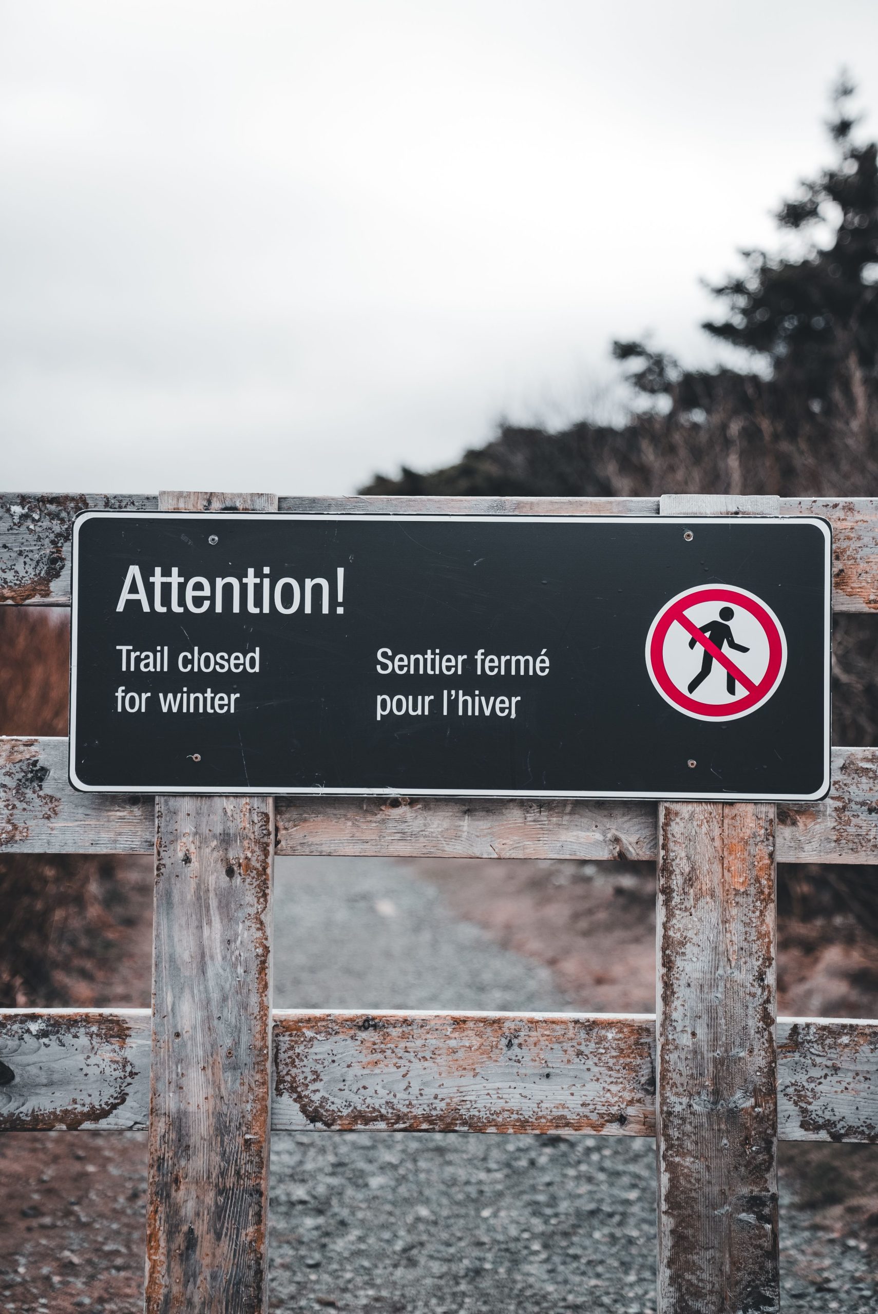 No Other Land website blocked in the US post thumbnail image