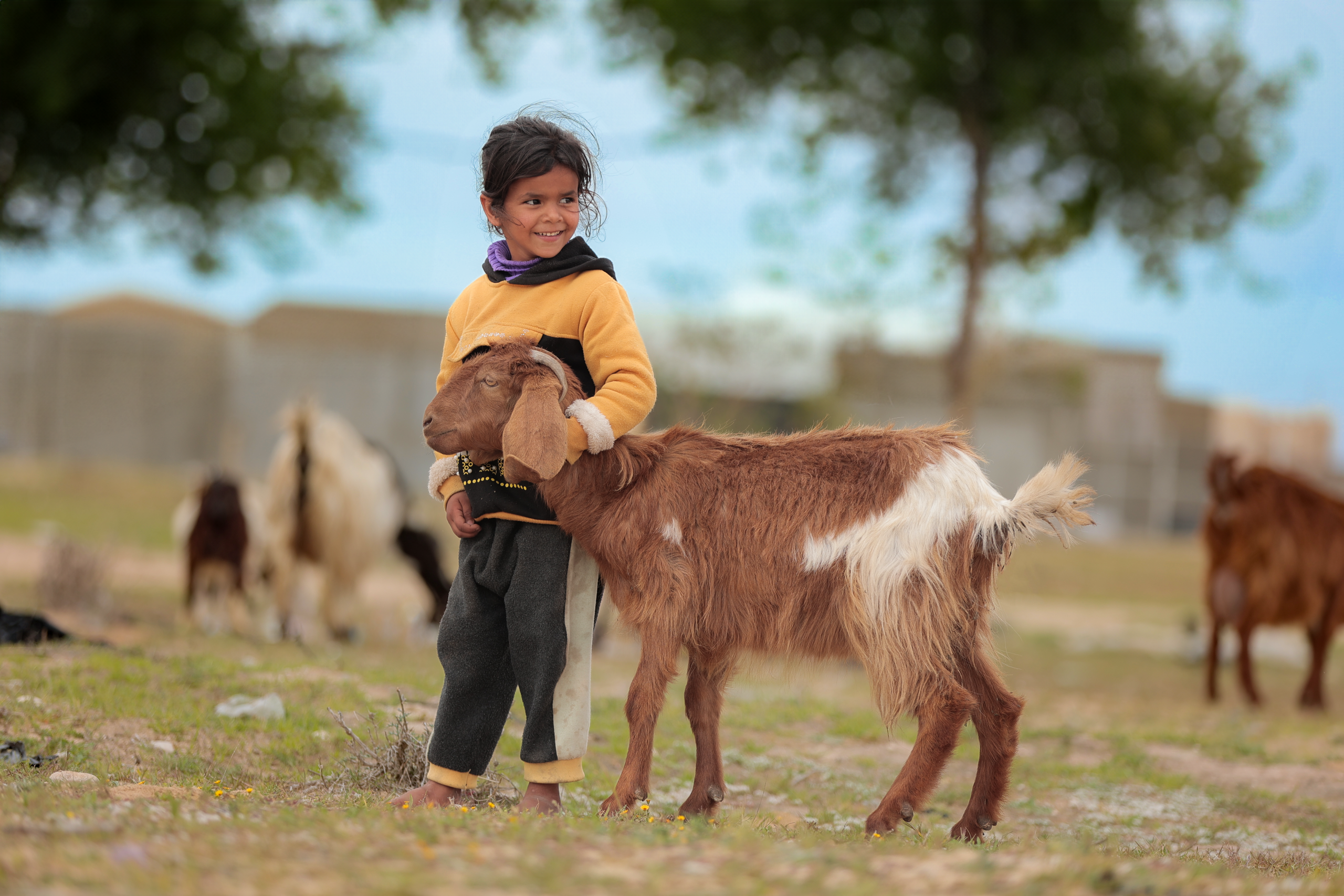 Gaza Just lost a guardian angel in the animal community!! post thumbnail image