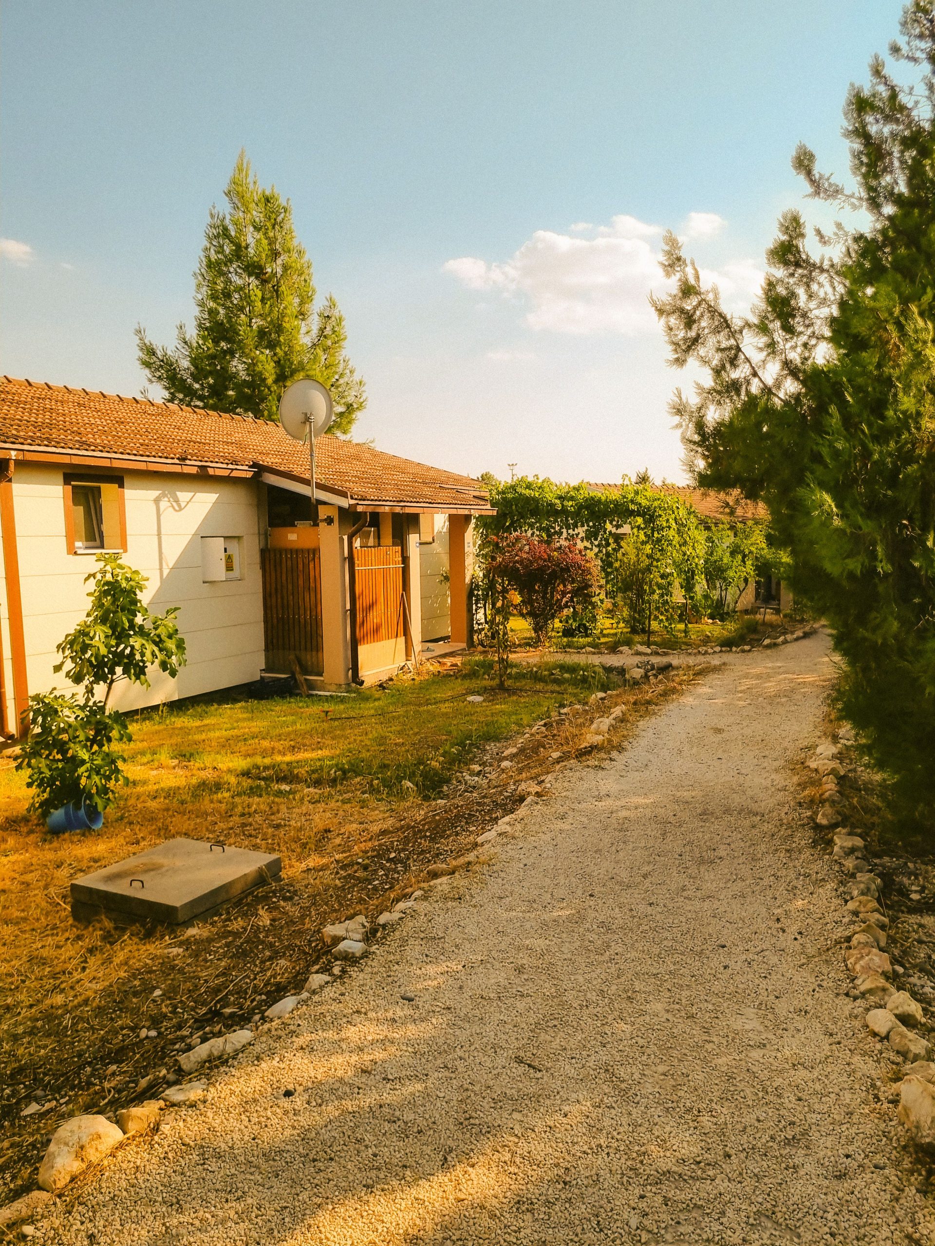 What is it like living in a Kibbutz now? post thumbnail image