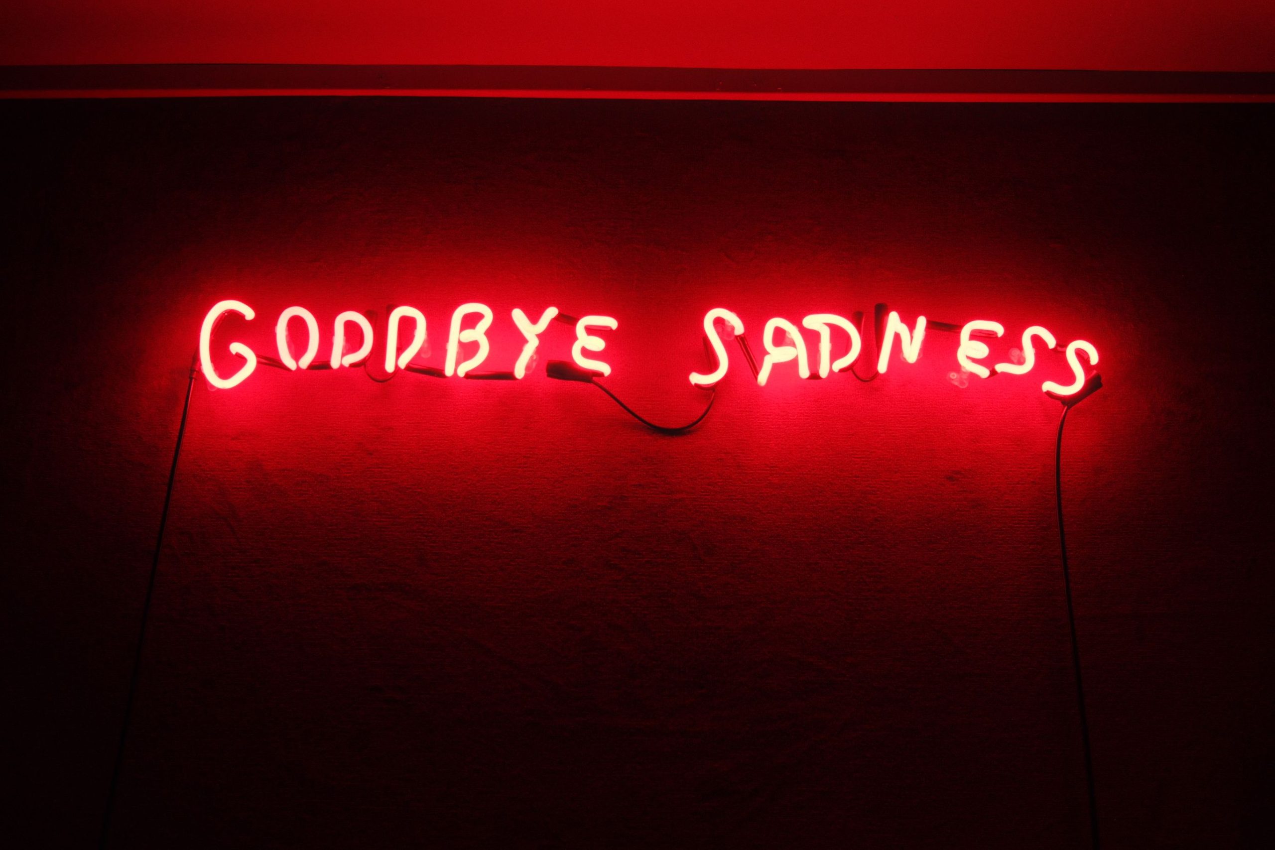 How Many More Goodbyes Must We Endure? post thumbnail image