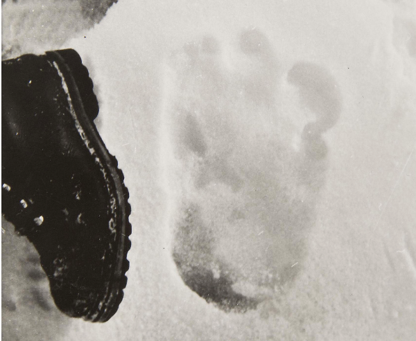 Isnt the 1951 Yeti footprint trail more astonishing than ascending Everest in many ways? post thumbnail image