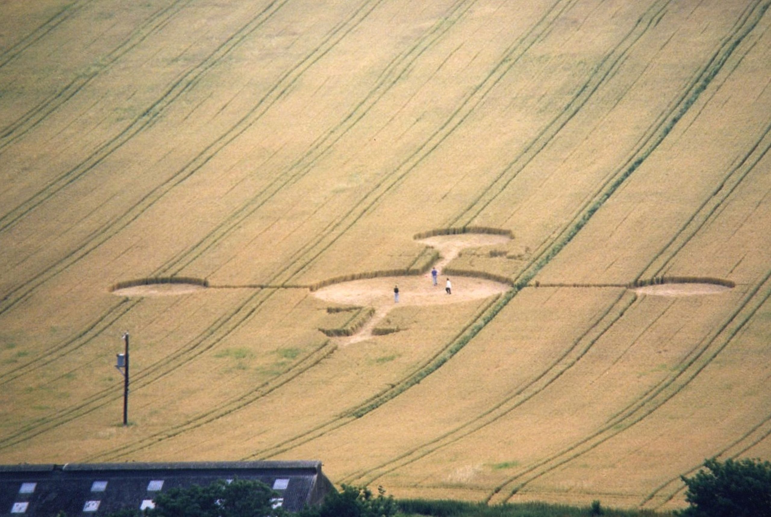 Crop circles. What are they? And who made them?? post thumbnail image